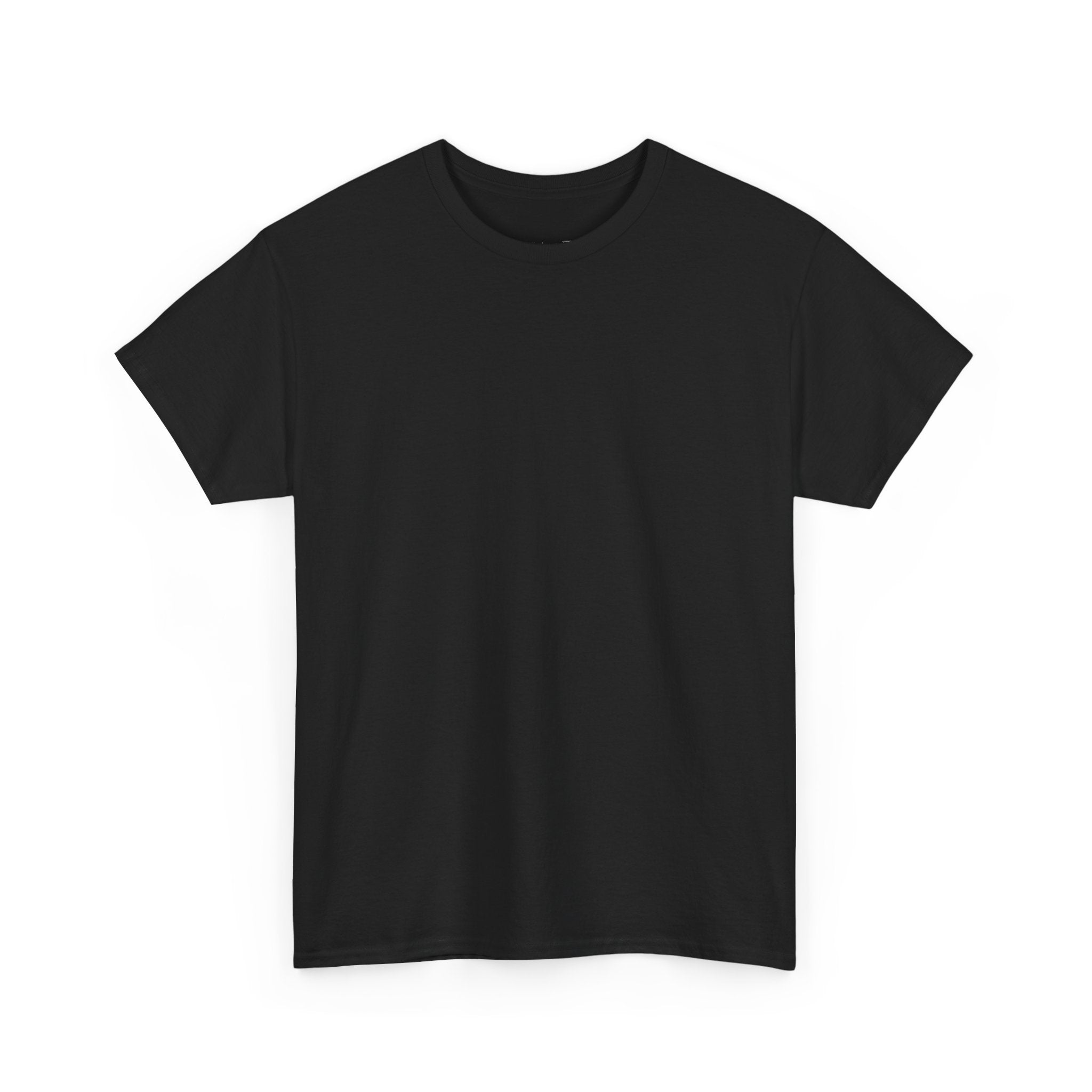 
Short sleeve shirt Gildan 5000 Heavy Cotton "Enigmas" Black (empty front)